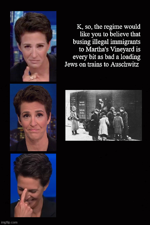 illegals to Martha's Vineyard ..... | K, so, the regime would
like you to believe that
busing illegal immigrants
to Martha's Vineyard is
every bit as bad a loading
Jews on trains to Auschwitz | image tagged in msnbc | made w/ Imgflip meme maker