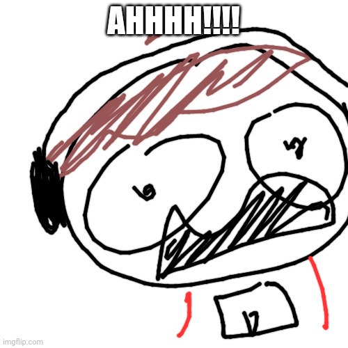 Blank (square) | AHHHH!!!! | image tagged in blank square | made w/ Imgflip meme maker