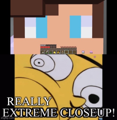 Really extreme Closeup |  REALLY | image tagged in extreme closeup,ed edd n eddy,minecraft,maizen | made w/ Imgflip meme maker