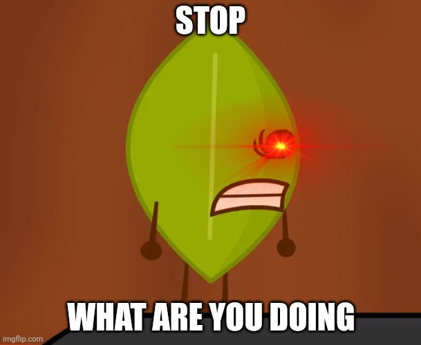 STOOP | STOP; WHAT ARE YOU DOING | image tagged in bfdi wat face | made w/ Imgflip meme maker