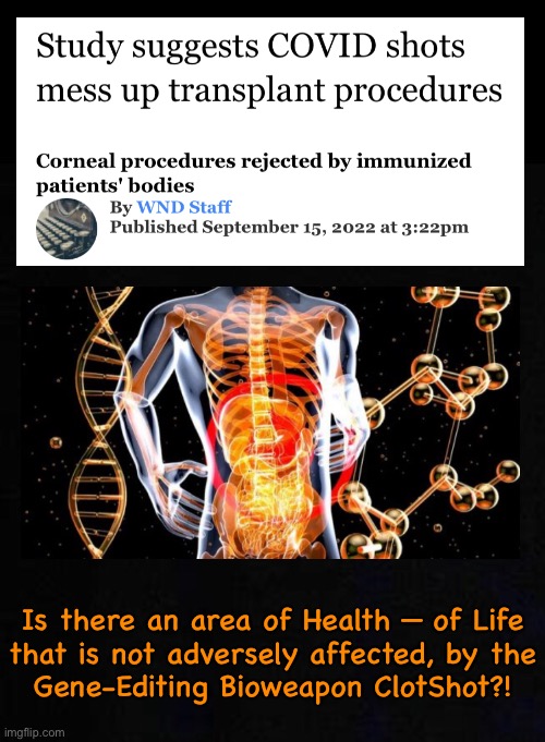 And… it’s in its Infancy.  The worst is yet to come | Is there an area of Health — of Life
that is not adversely affected, by the
Gene-Editing Bioweapon ClotShot?! | image tagged in memes,health | made w/ Imgflip meme maker