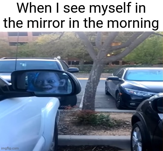 When I see myself in the mirror in the morning | image tagged in funny,memes,morning,mirror,ugly,gollum | made w/ Imgflip meme maker