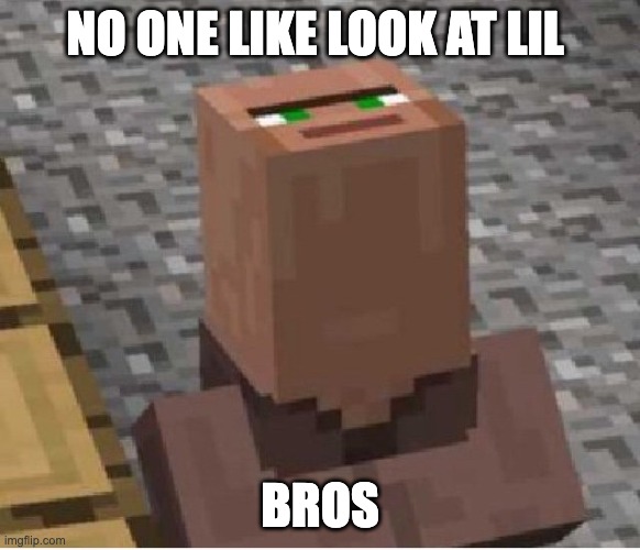Minecraft Villager Looking Up | NO ONE LIKE LOOK AT LIL BROS | image tagged in minecraft villager looking up | made w/ Imgflip meme maker