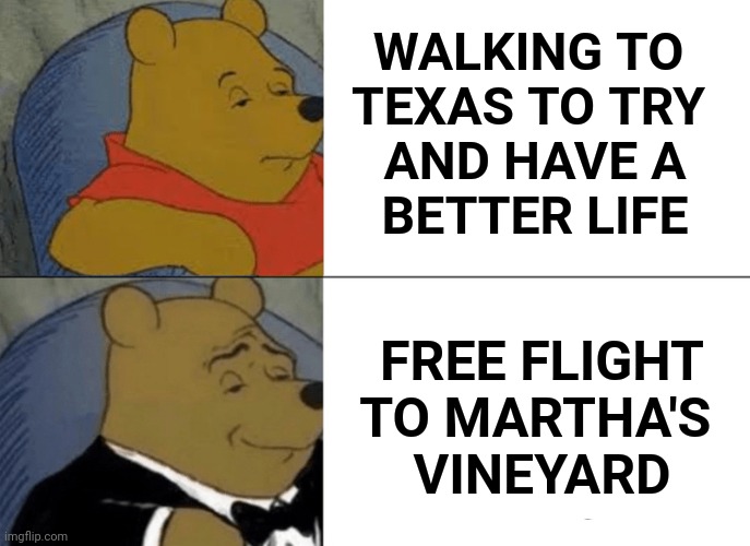 Tuxedo Winnie The Pooh Meme | WALKING TO 
TEXAS TO TRY 
AND HAVE A
BETTER LIFE FREE FLIGHT
TO MARTHA'S 
VINEYARD | image tagged in memes,tuxedo winnie the pooh | made w/ Imgflip meme maker