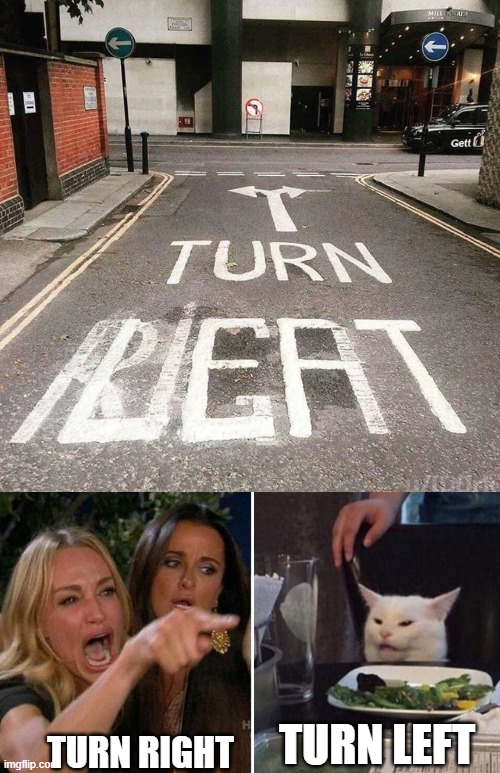 TURN LEFT; TURN RIGHT | image tagged in woman yelling at cat | made w/ Imgflip meme maker
