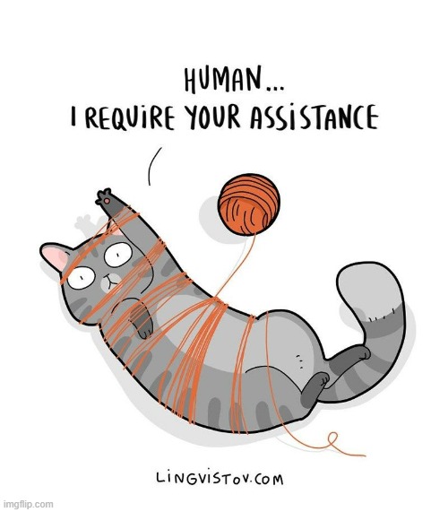 A Cat's Way Of Thinking | image tagged in memes,comics,cats,tangled,yarn,please help me | made w/ Imgflip meme maker