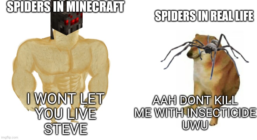Minecraft is very unrealistic if you ask me |  SPIDERS IN MINECRAFT; SPIDERS IN REAL LIFE; I WONT LET
YOU LIVE
STEVE; AAH DONT KILL
ME WITH INSECTICIDE
UWU | image tagged in buff doge vs crying cheems,minecraft steve,minecraft,spider,arachnophobia | made w/ Imgflip meme maker
