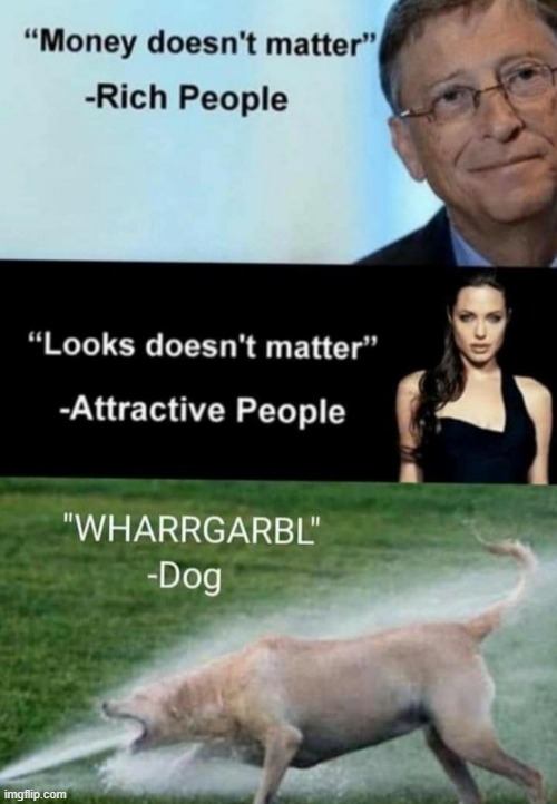image tagged in dogs | made w/ Imgflip meme maker