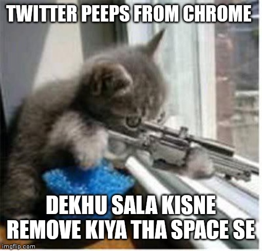 TWITTER SPACE MEME | TWITTER PEEPS FROM CHROME; DEKHU SALA KISNE REMOVE KIYA THA SPACE SE | image tagged in cats with guns | made w/ Imgflip meme maker