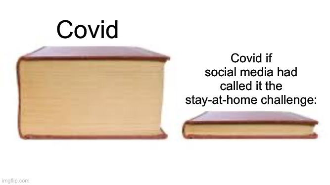 Who agrees? | Covid; Covid if social media had called it the stay-at-home challenge: | image tagged in big book small book | made w/ Imgflip meme maker