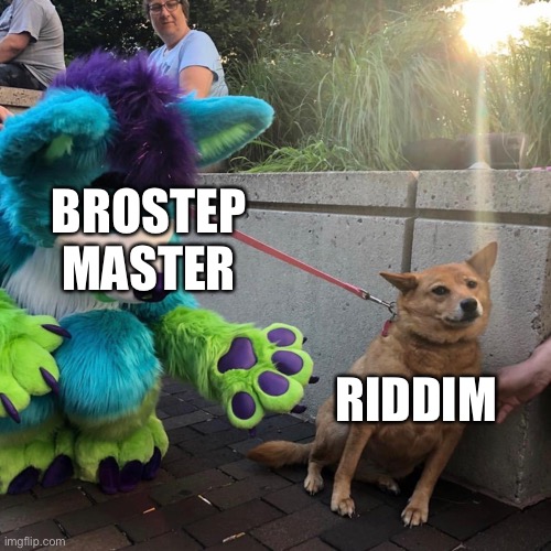 Riddim | BROSTEP MASTER; RIDDIM | image tagged in dog afraid of furry,memes | made w/ Imgflip meme maker
