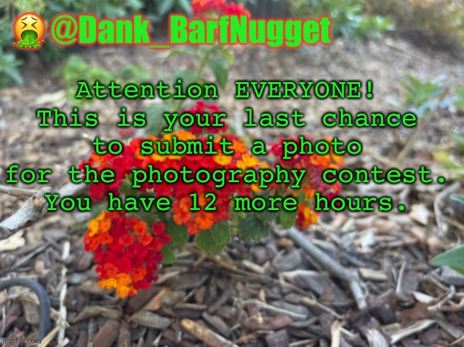 The results will be back by the 26th | Attention EVERYONE! This is your last chance to submit a photo for the photography contest. You have 12 more hours. | image tagged in premium flower template | made w/ Imgflip meme maker