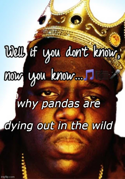Biggie Smalls well if you don’t know now you know | why pandas are
 
dying out in the wild | image tagged in biggie smalls well if you don t know now you know | made w/ Imgflip meme maker