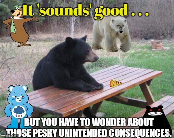 It 'sounds' good . . . BUT YOU HAVE TO WONDER ABOUT THOSE PESKY UNINTENDED CONSEQUENCES. | image tagged in memes,bad luck bear | made w/ Imgflip meme maker