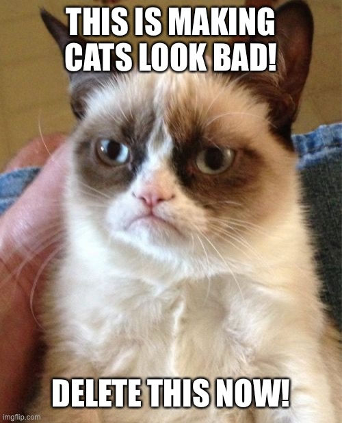 Grumpy Cat Meme | THIS IS MAKING CATS LOOK BAD! DELETE THIS NOW! | image tagged in memes,grumpy cat | made w/ Imgflip meme maker