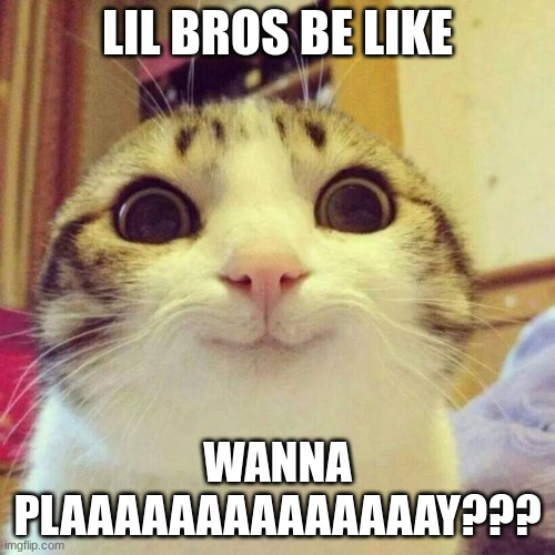 Smiling Cat | LIL BROS BE LIKE; WANNA PLAAAAAAAAAAAAAAY??? | image tagged in memes,smiling cat | made w/ Imgflip meme maker