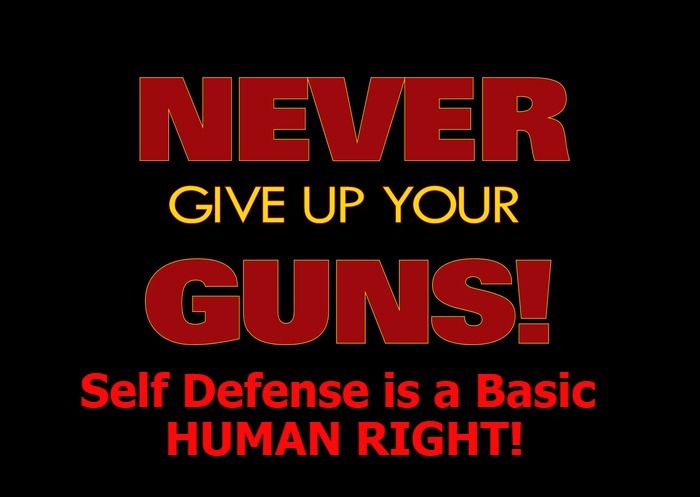 With Government Like We've Got, NEVER Give Up Your Guns! | image tagged in self defense,gun rights,2nd amendment,second amendment,government corruption | made w/ Imgflip meme maker