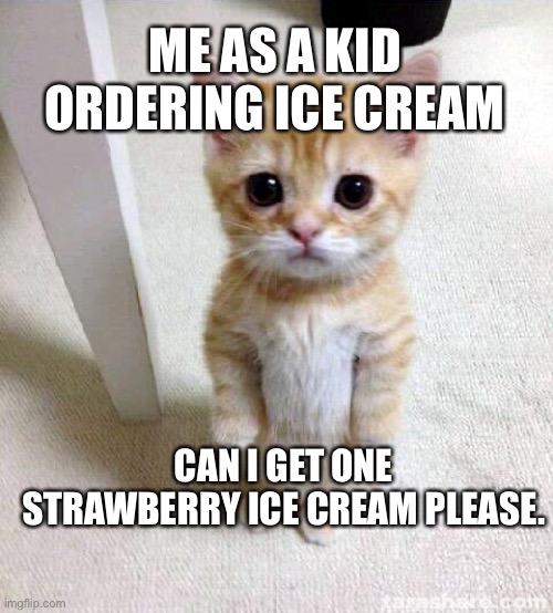 Cute Cat Meme | ME AS A KID ORDERING ICE CREAM; CAN I GET ONE STRAWBERRY ICE CREAM PLEASE. | image tagged in memes,cute cat | made w/ Imgflip meme maker