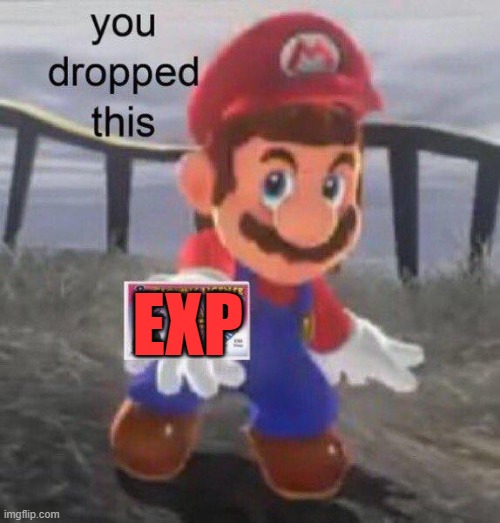 Mario You dropped this | EXP | image tagged in mario you dropped this | made w/ Imgflip meme maker