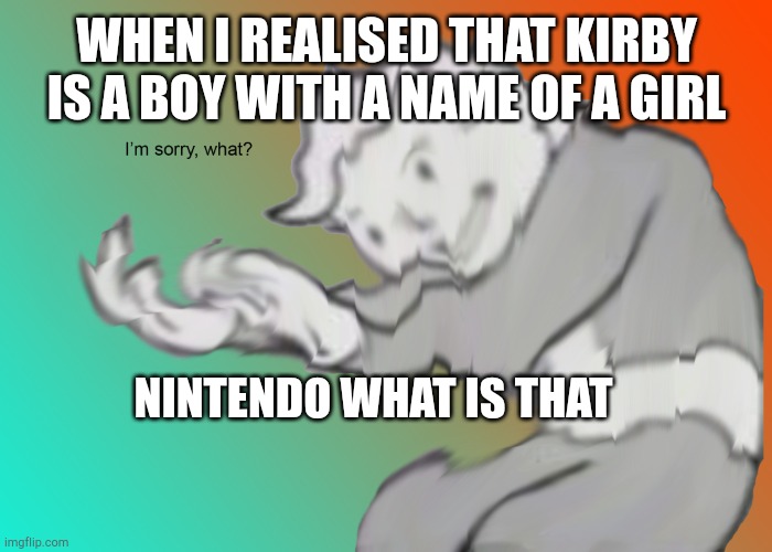 Kirby's Dark Secret | WHEN I REALISED THAT KIRBY IS A BOY WITH A NAME OF A GIRL; NINTENDO WHAT IS THAT | image tagged in i'm sorry what | made w/ Imgflip meme maker