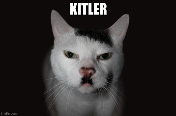 Kitler | KITLER | image tagged in kitler | made w/ Imgflip meme maker