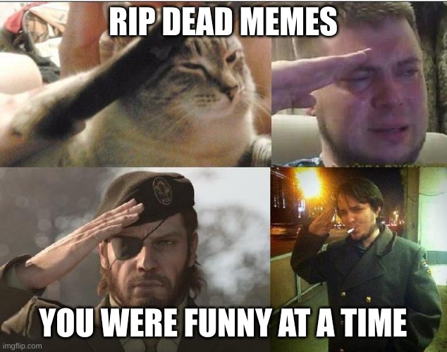 yes YEEEEEEEEEESSSSS | RIP DEAD MEMES; YOU WERE FUNNY AT A TIME | image tagged in ozon's salute | made w/ Imgflip meme maker