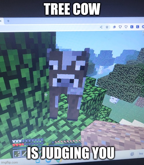  TREE COW; IS JUDGING YOU | image tagged in cow | made w/ Imgflip meme maker