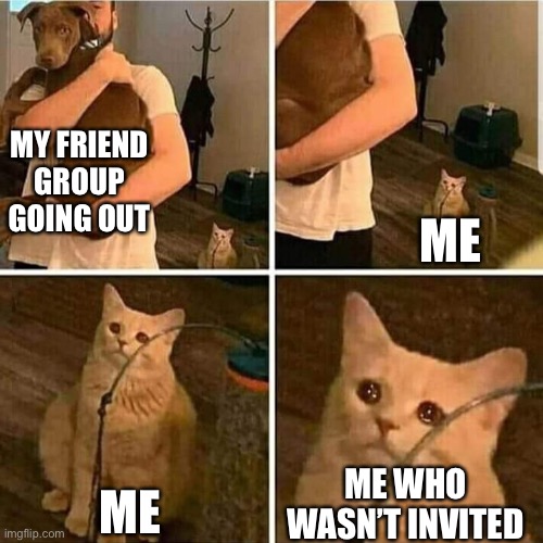 Sad Cat Holding Dog | MY FRIEND GROUP GOING OUT; ME; ME; ME WHO WASN’T INVITED | image tagged in sad cat holding dog | made w/ Imgflip meme maker