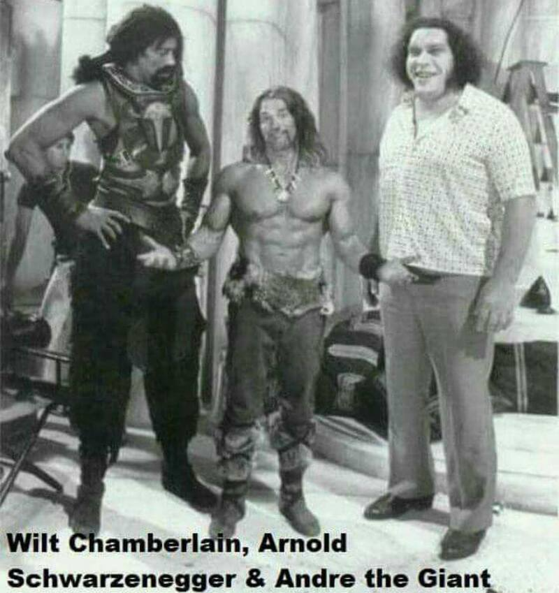 High Quality Wilt Arnold Andre Blank Meme Template