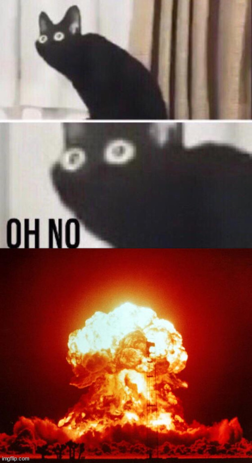 image tagged in oh no cat,nuke | made w/ Imgflip meme maker