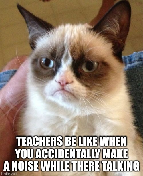 Grumpy Cat | TEACHERS BE LIKE WHEN YOU ACCIDENTALLY MAKE A NOISE WHILE THERE TALKING | image tagged in memes,grumpy cat | made w/ Imgflip meme maker
