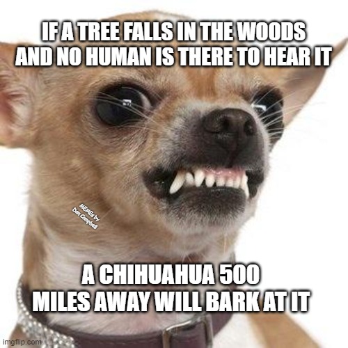 Angry chihuahua  | IF A TREE FALLS IN THE WOODS AND NO HUMAN IS THERE TO HEAR IT; MEMEs by Dan Campbell; A CHIHUAHUA 500 MILES AWAY WILL BARK AT IT | image tagged in angry chihuahua | made w/ Imgflip meme maker