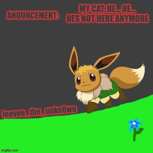 Leevee_The_Unkn0wn template | MY CAT. HE... HE... HES NOT HERE ANYMORE | image tagged in leevee_the_unkn0wn template | made w/ Imgflip meme maker