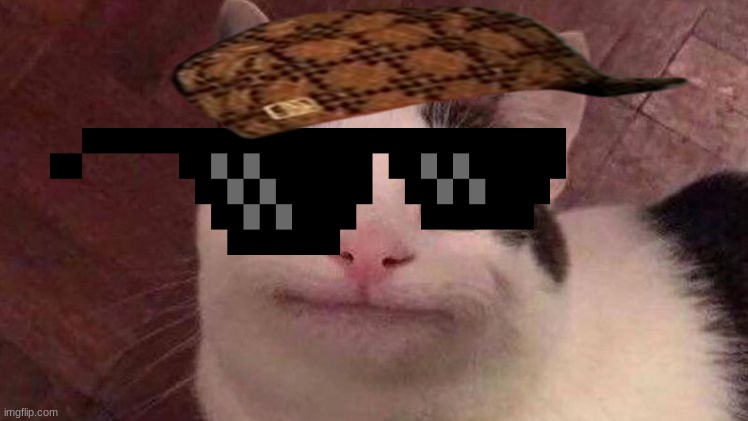 meme cat kaycee memes | image tagged in smile cat | made w/ Imgflip meme maker