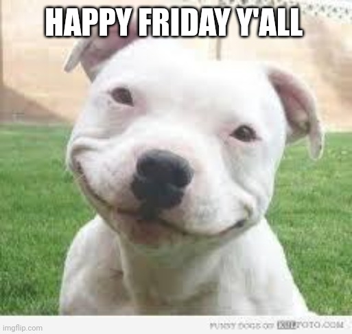 Hopefully your having a good day today | HAPPY FRIDAY Y'ALL | image tagged in happy friday puppy | made w/ Imgflip meme maker