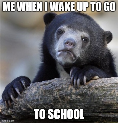 Confession Bear Meme | ME WHEN I WAKE UP TO GO; TO SCHOOL | image tagged in memes,confession bear | made w/ Imgflip meme maker