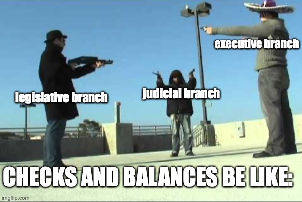 executive branch; judicial branch; legislative branch; CHECKS AND BALANCES BE LIKE: | made w/ Imgflip meme maker