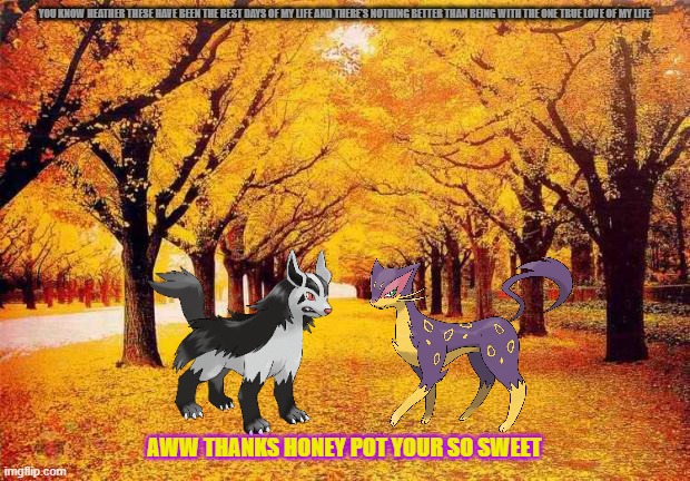 autumn love | YOU KNOW HEATHER THESE HAVE BEEN THE BEST DAYS OF MY LIFE AND THERE'S NOTHING BETTER THAN BEING WITH THE ONE TRUE LOVE OF MY LIFE; AWW THANKS HONEY POT YOUR SO SWEET | image tagged in autumn trees,pokemon,dogs,cats,love | made w/ Imgflip meme maker