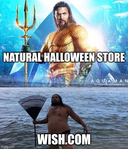halloween shopping | NATURAL HALLOWEEN STORE; WISH.COM | image tagged in me vs reality - aquaman,memes,funny,halloween,wish,aquaman | made w/ Imgflip meme maker