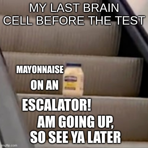 mayonnaise on an escalator | MY LAST BRAIN CELL BEFORE THE TEST; MAYONNAISE; ON AN; ESCALATOR! AM GOING UP, SO SEE YA LATER | image tagged in mayonnaise,escalator,meme,mayonnaise on an escalator | made w/ Imgflip meme maker