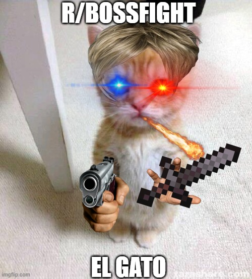 r/bossfight | R/BOSSFIGHT; EL GATO | image tagged in memes,cute cat | made w/ Imgflip meme maker