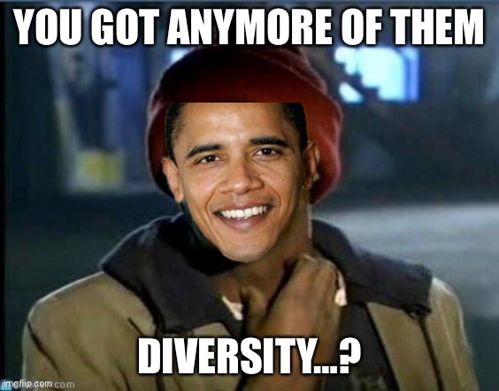 you got anymore | YOU GOT ANYMORE OF THEM; DIVERSITY…? | image tagged in you got anymore,diversity,border wall,border | made w/ Imgflip meme maker