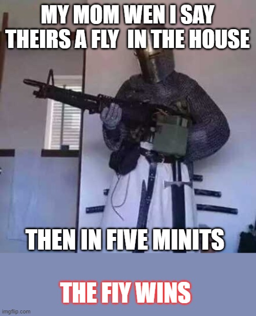 mom hates flys | MY MOM WEN I SAY THEIRS A FLY  IN THE HOUSE; THEN IN FIVE MINITS; THE FIY WINS | image tagged in crusader knight with m60 machine gun | made w/ Imgflip meme maker