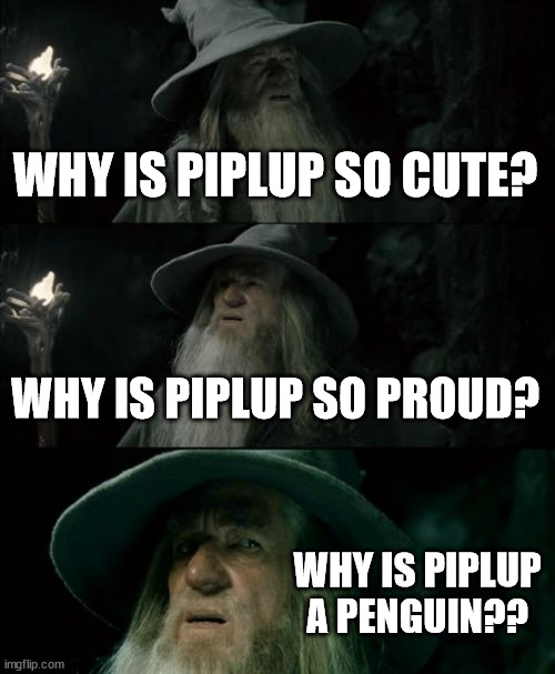 pippy pulp pulp? | WHY IS PIPLUP SO CUTE? WHY IS PIPLUP SO PROUD? WHY IS PIPLUP A PENGUIN?? | image tagged in memes,confused gandalf | made w/ Imgflip meme maker