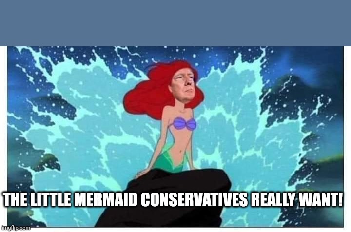Little mermaid | THE LITTLE MERMAID CONSERVATIVES REALLY WANT! | image tagged in conservative,trump,republican,disney,the little mermaid,liberal | made w/ Imgflip meme maker