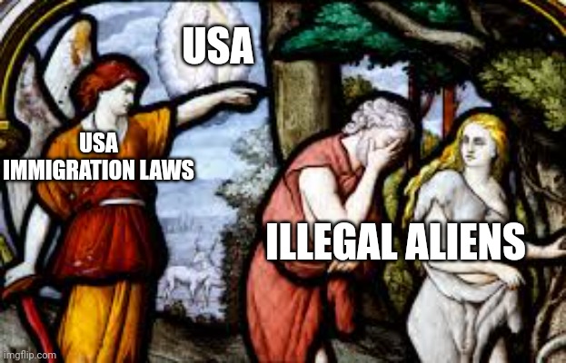 USA IMMIGRATION LAWS ILLEGAL ALIENS USA | made w/ Imgflip meme maker