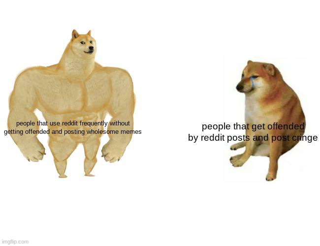 Doge | people that use reddit frequently without getting offended and posting wholesome memes; people that get offended by reddit posts and post cringe | image tagged in memes,buff doge vs cheems | made w/ Imgflip meme maker
