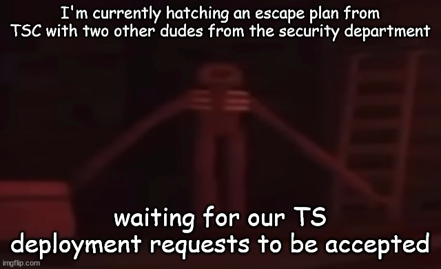 figure stare | I'm currently hatching an escape plan from TSC with two other dudes from the security department; waiting for our TS deployment requests to be accepted | image tagged in figure stare | made w/ Imgflip meme maker
