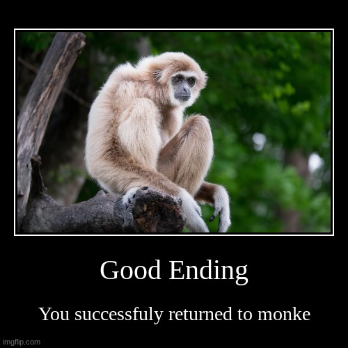 monke | image tagged in funny,demotivationals | made w/ Imgflip demotivational maker