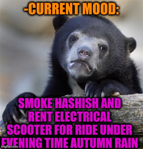 -How to bury health for nothing. | -CURRENT MOOD:; SMOKE HASHISH AND RENT ELECTRICAL SCOOTER FOR RIDE UNDER EVENING TIME AUTUMN RAIN | image tagged in memes,confession bear,hashtags,stop reading the tags,don't do drugs,kermit scooter | made w/ Imgflip meme maker